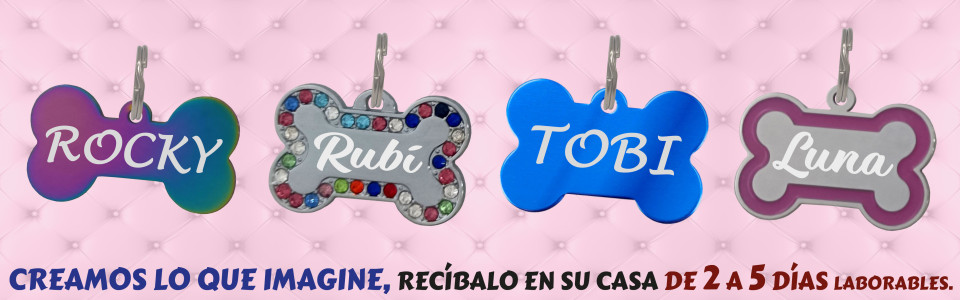 Chapas para perro Personalizadas - Envío 24/48h | Don Grabado